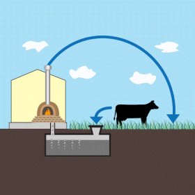 Как соорудить установку для получения биогаза: делаем биореактор своими руками